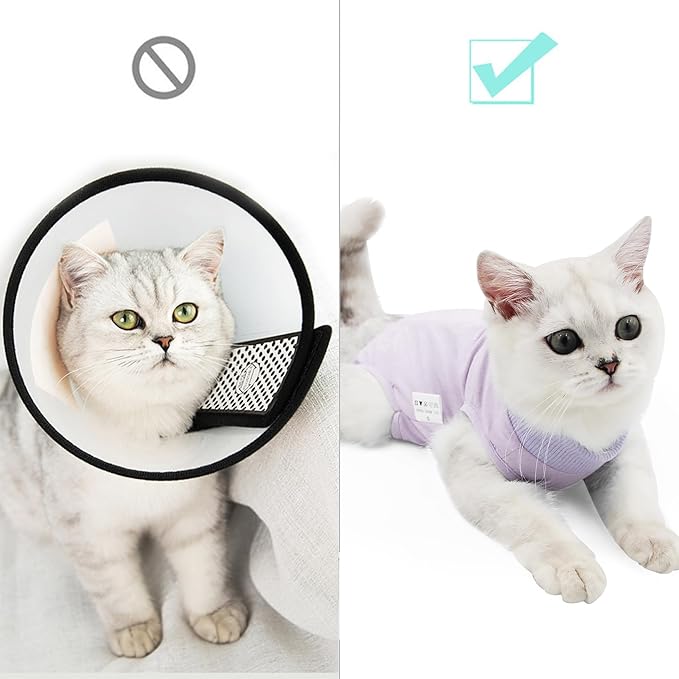DOTON Cat Recovery Suit for Male and Female Surgical Post Surgery Soft Cone Onesie Shirt Clothes Neuter Licking Protective Diapers Outfit Cover Kitten Spay Collar(M, Purple)