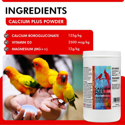 Morning Bird Calcium Plus Powder for Birds 16 oz – Calcium Supplement with Vitamin & Protein Powder – Supports Bone Health, Muscle Function & Digestive Balance – Easy-to-Mix Calcium Formula