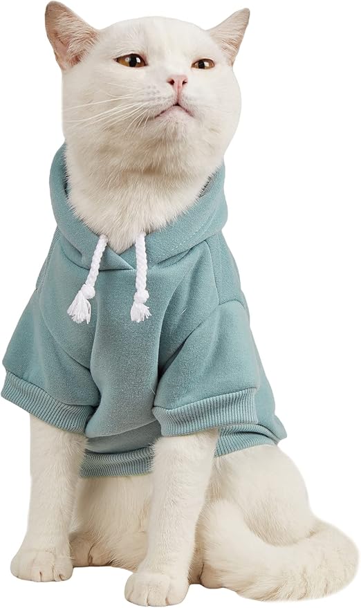 QWINEE Basic Dog Hoodie Sweatshirt Puppy Sweater Warm Cat Costumes Pet Clothes for Chihuahua Puppy Kitten Small Medium Dogs Cadet Blue Medium