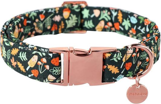 Daisy Fall Cotton Dog Collar with Metal Buckle Gift Autumn Collar for Small Medium Large Girls or Boys Dogs Cute Durable Comfortable Pet Collars