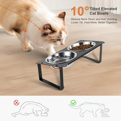 2 Set Elevated Cat Food Water Bowls, 4 Stainless Steel Bowls for Indoor Pet with Cute Metal Stand, 10° Tilted Anti-Vomiting Wide Shallow Raised Cat Dishes Whisker Friendly for Multiple Kitten,Puppy