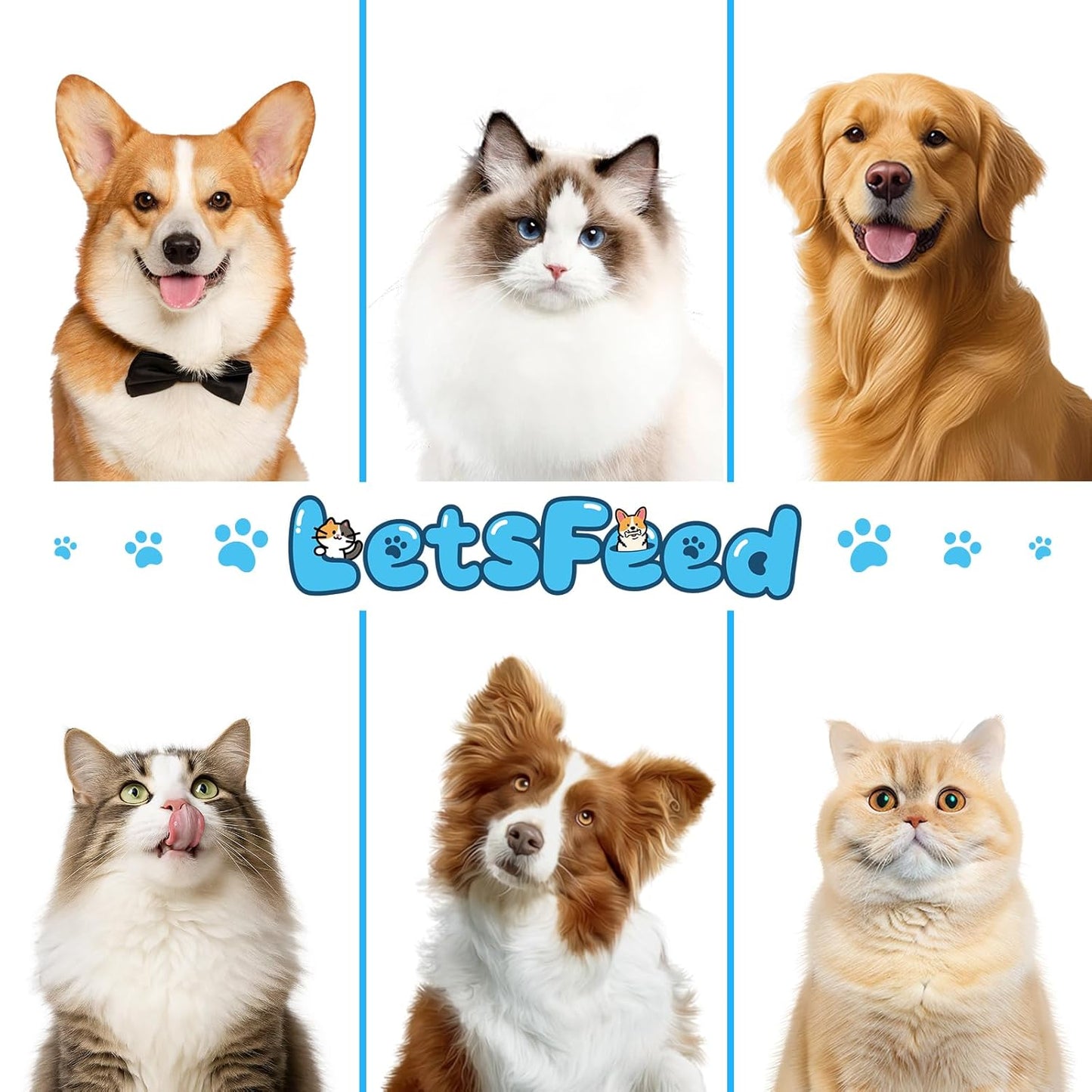 Pet Steam Brush Spray Refill for Dogs & Cats – Concentrated Waterless Shampoo, 3-in-1 Pet Comb Leave-in Serum, Self Cleaning Pet Brush for Shedding & Hair Removal, 2*Shampoo(Steam Brush Not Included)