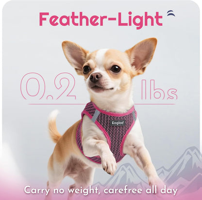 Eagloo Small Dog Harness and Leash Set, Step in Puppy Vest with Breathable Soft Mesh, Walking Reflective Pet Harness for Small Dogs, Rose Red, S
