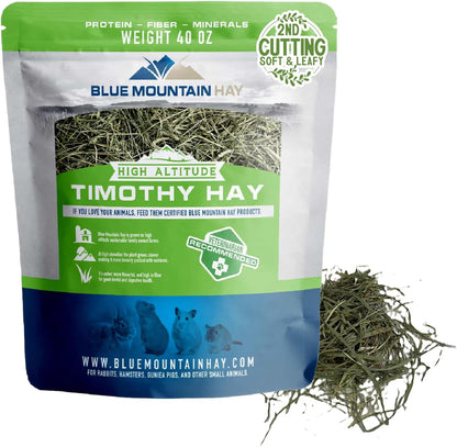 Blue Mountain Hay | Fresh 2nd Cutting Timothy Grass Hay (15 Ounce) | Soft & Leafy, Balanced Nutrition | High-Altitude Hay Pet Food for Adult Rabbits, Guinea Pigs, Chinchillas, and Other Small Pets
