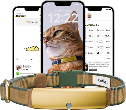 Health Tracker for Cats - Smart Cat Collar with Safety Breakaway Buckle for Indoor Cats, Wellness Alerts, Real-time Monitoring (Forest,M)