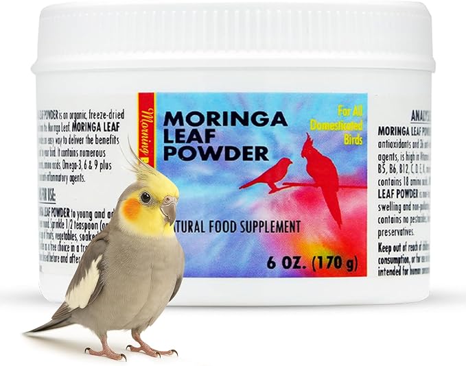Morning Bird Moringa Leaf Powder 6 oz – Natural Food Supplement for Birds, Rich in Vitamins & Minerals, Boosts Immune System & Energy, Supports Healthy Feathers, Digestion, and Overall Avian Wellness