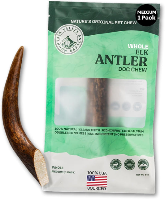 Mountain Valley Elk Antlers for Dogs - 100% Natural & Organic Chew for Aggressive Chewers, No Odor, No Mess, Long Lasting - Wild-Foraged Naturally Shed Antlers in USA - Grade A, Whole Medium (1 Pack)
