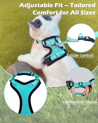 Luxelle 2 Pack Escape-Proof Cat Harness and Leash Set for Walking – Adjustable No Pull Soft Vest with Easy-Wear Buckle, Reflective Straps, Breathable Mesh – Outdoor Travel Harness for Cats & Kittens