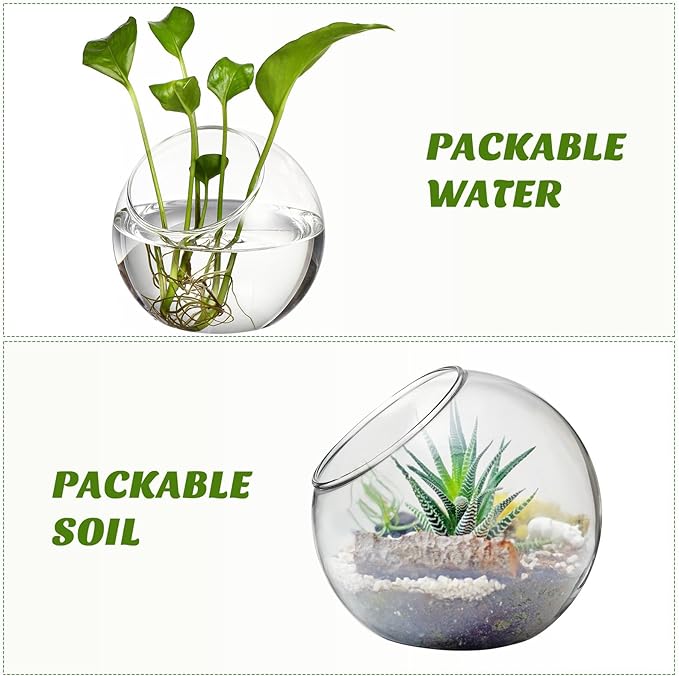 3PCS Glass Terrariums for Plants Glass Fish Bowls Plant Terrarium Air Plant Planter Desktop Bubble Bowls Clear Vases Air Plants Holders Succulent Terrarium