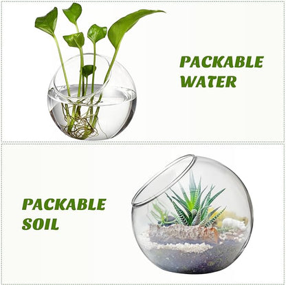 3PCS Glass Terrariums for Plants Glass Fish Bowls Plant Terrarium Air Plant Planter Desktop Bubble Bowls Clear Vases Air Plants Holders Succulent Terrarium