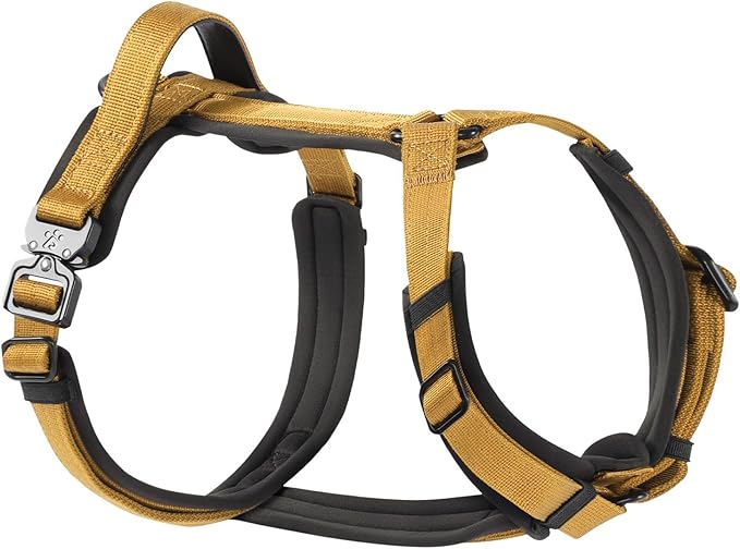 PawsPassion Dog Harness for Small Dogs, No Pull Dog Harness Easy Walk with Metal Hardware, Ergonomic Y-Shaped Design, Soft Padding, Padded Handle, Durable High-Tensile Nylon (Sunrise, S)