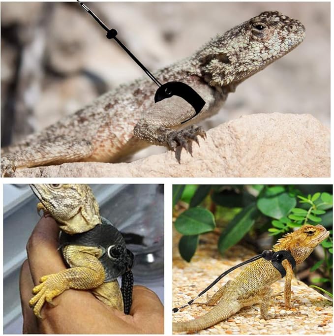 2 Colors Bearded Dragon Harness and Leash Adjustable(S,M,L) - Soft Leather Reptile Lizard Leash for Amphibians and Other Small Pet Animals Red Black