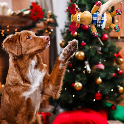 Dog Toys Squeaky Interactive Puppy Teething Chew Toy with Crinkle Sound Paper Tail Stuffed PP Cotton,Keep Them Busy, Large Medium Small Breeds Indoor Play, Christmas Deer