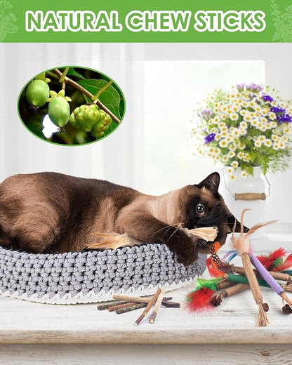 TINDTOP Silvervine Chew Sticks for Cats, 12 Pack Natural Catnip Chew Toys for Kittens Teeth Cleaning, Matatabi Dental Care, Increase Appetite Cat Dental Toy
