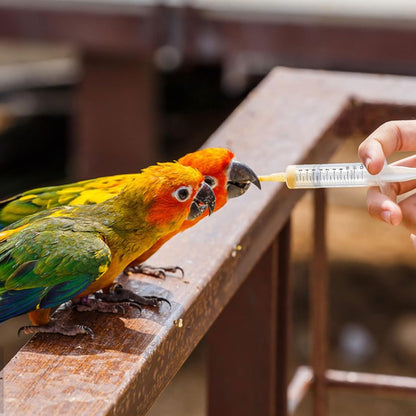 Baby Bird Feeding Syringe Set, Pet Parrot Milk Feeding Syringe with Tubes, Parrot Feeding Feeder Measuring Tools for Feeding Pets Scientific Industrial Labs… (12ml +20ml syringe+50ml Measuring Cup)