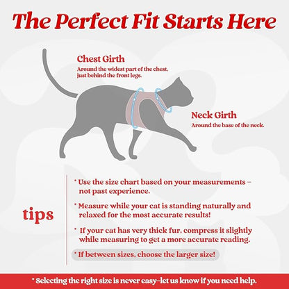 rabbitgoo Cat Harness and Leash Set for Walking Escape Proof, Adjustable Soft Kittens Vest with Reflective Strip for Cats, Comfortable Outdoor Vest, Red, M