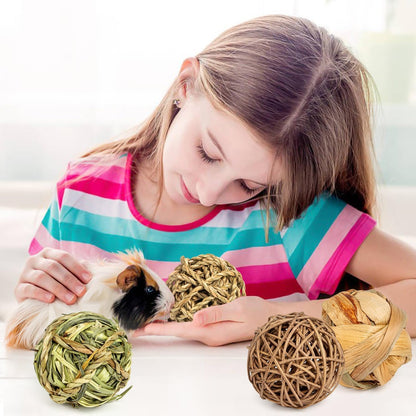 Sofier Rabbit & Guinea Pig Toys 16 Pcs Chew Grass Balls Natural Chews for Rodents - Handmade Enrichment Treats for Chinchillas, Guinea Pigs