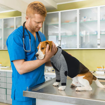 LeLePet Dog Recovery Suit for Front Legs, Dog Sleeve to Stop Licking, Elbow Protector for Leg Injuries Shoulder Wounds After Surgery Male Female,Zippered Long-Sleeved Shirt Cone Alternative(S-3XL)