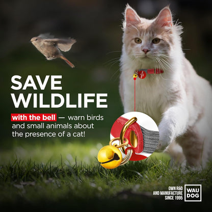 WAUDOG Ultra Soft Rolled Leather Cat Collar with Removable Bell, Safety Elastic Strap and QR ID Tag - Soft Padded for Small, Medium, and Large Cats - Round Kitten Collar for Male and Female Cats