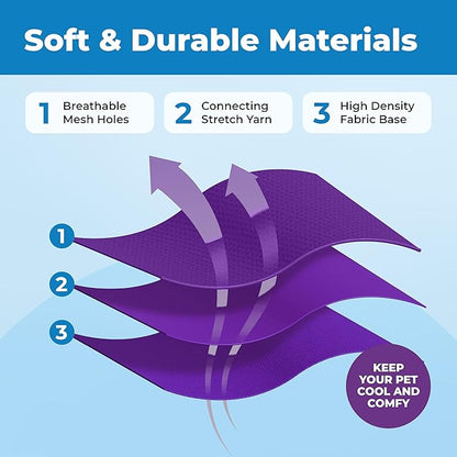 Voyager Escape Proof Cat Harness and Leash Set with Reflective Stitching, Neoprene Handle 5ft - Supports Small, Medium and Large Cats, Kittens for Walking by Best Pet Supplies - Purple, XXS