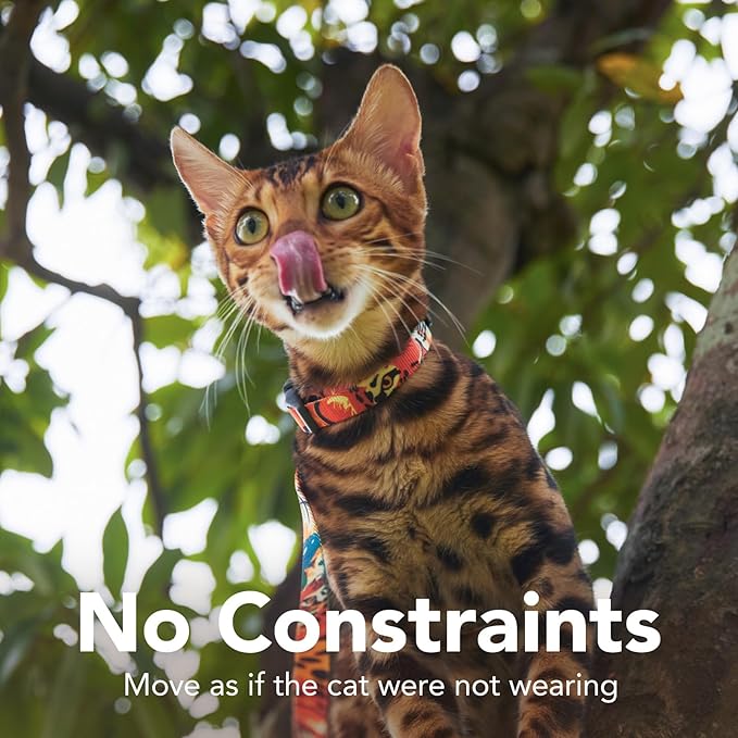Cat Harness and Leash Set - Escape Proof Adjustable Cat Harness, Comfortable Soft Lightweight, Use Safe & Easy, Walking Travel Kitten Harness for Small Medium Large Cats (Orange King of The Jungle)