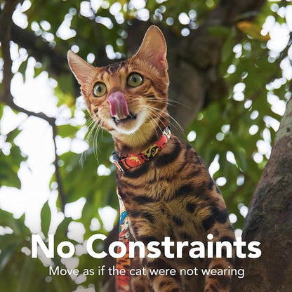 Cat Harness and Leash Set - Escape Proof Adjustable Cat Harness, Comfortable Soft Lightweight, Use Safe & Easy, Walking Travel Kitten Harness for Small Medium Large Cats (Orange King of The Jungle)