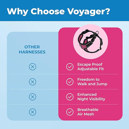 Voyager Escape Proof Cat Harness and Leash Set with Reflective Stitching, Neoprene Handle 5ft - Supports Small, Medium and Large Cats, Kittens for Walking by Best Pet Supplies - BT-Fuchsia, XXS