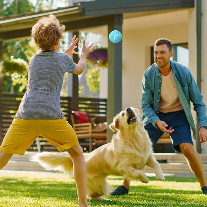 Prime Pets Tennis Balls for Dogs, 2.5 Inch Squeaky Dog Toys, Interactive Pet Dog Toy Balls for Medium, Large Dogs, Squeaky Tennis Balls for Dogs