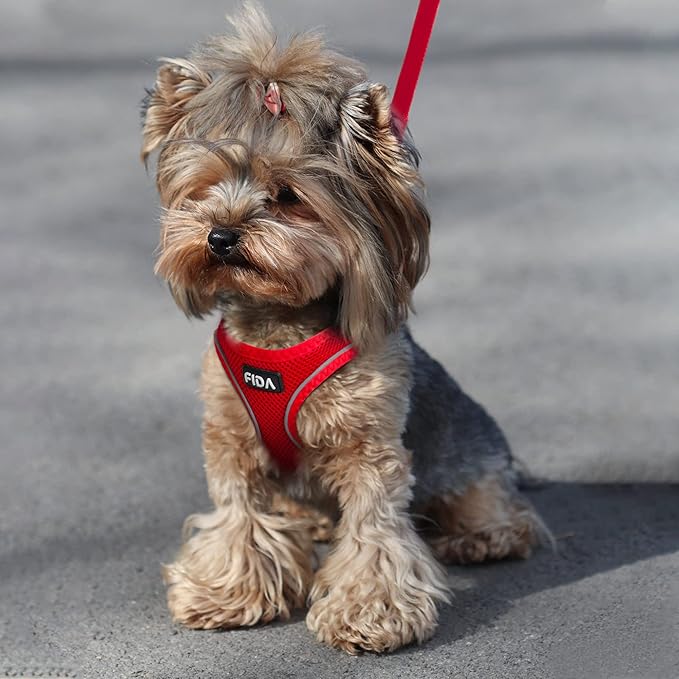 Fida Cat Harness and Leash Set for Walking Kitten and Puppy, Escape Proof Kitten Harness with Breathable Lightweight Soft Mesh, Adjustable Reflective Step-in Design for Kitten and Puppy.(XXXS, Red)