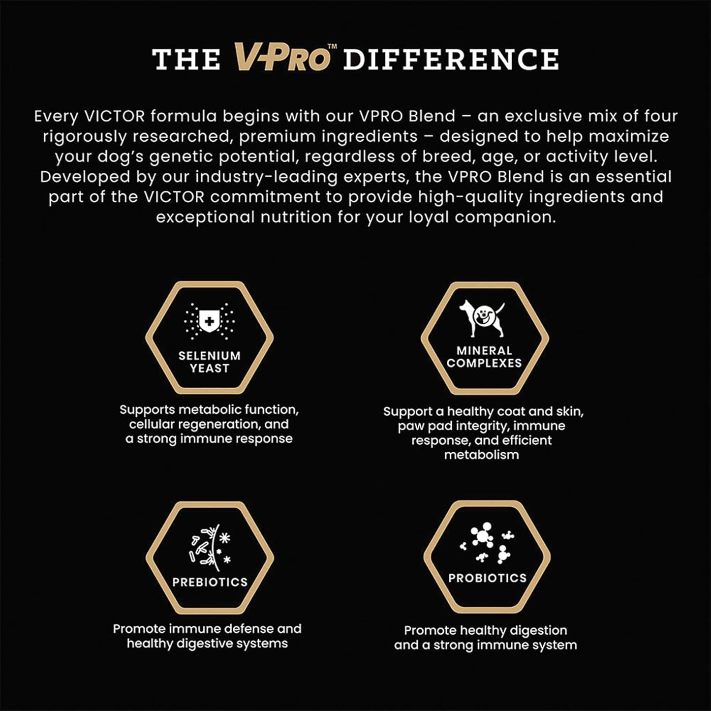 VICTOR Super Premium Dog Food – Professional Dry Dog Food – Super Premium Kibble with 26% Protein – Gluten-Free with Beef, Chicken & Pork Meals – for High Energy and Active Dogs & Puppies, 15lbs