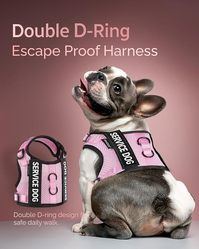 FAYOGOO Service Dog Vest for Small Dogs - Air Mesh Breathble Emotional Support Animal Vest with Velcro Patches - Puppy Harness and Leash Set Adjustable Neck and Chest