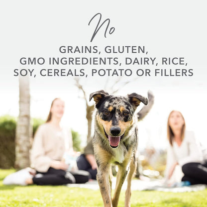 K9 Natural - Grain Free Freeze Dried Dog Food - Chicken, 4lb