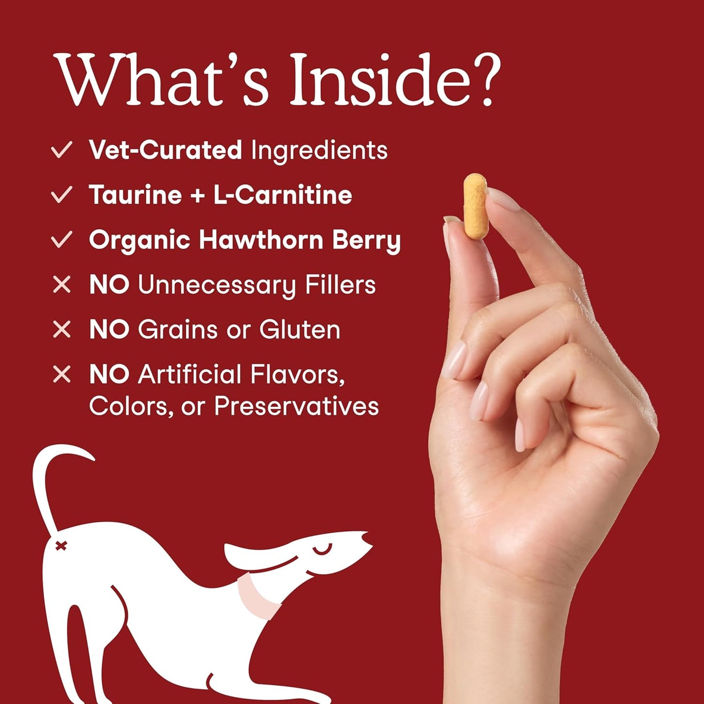 Fera Pets Cardiac Support - Cat & Dog Heart Supplement with Taurine, L-Carnitine, & CoQ10 - Promotes Normal Circulation and Heartbeat - 120 Capsules