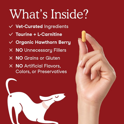 Fera Pets Cardiac Support - Cat & Dog Heart Supplement with Taurine, L-Carnitine, & CoQ10 - Promotes Normal Circulation and Heartbeat - 60 Capsules