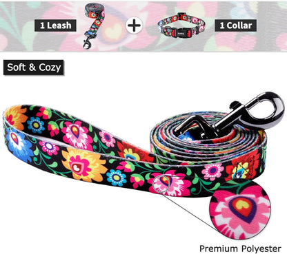 Ihoming Puppy Collar and Leash Set for Daily Outdoor Walking Running Training, Black Colorful Flowers Design for Extra Small Boys Girls Dogs Cats Pets, XS-Up to 10LBS