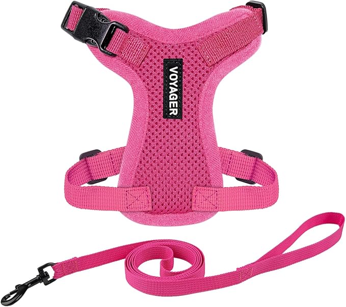 Voyager Step-in Lock Adjustable Cat Harness w. Cat Leash Combo Set with Neoprene Handle 5ft - Supports Small, Medium and Large Breed Cats by Best Pet Supplies - Fuchsia, XXS