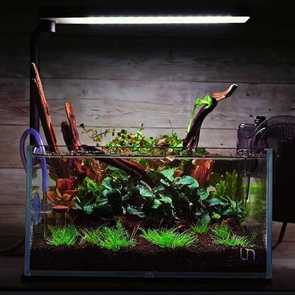 majoywoo Natural Small Coral Driftwood for Aquarium Decor Fish Tank Decorations, Assorted Driftwood Branch 4.5-7.5" 5 Pcs, Reptile Decor