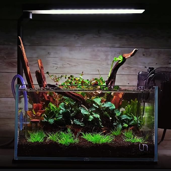 majoywoo Natural Small Driftwood for Aquarium Decor Reptile Decor, Assorted Driftwood Branch 2-4.5" 10 Pcs, Fish Tank Decorations