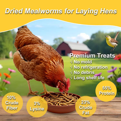 RANZ 10LBS Non-GMO Dried Mealworms for Chickens, High Protein Meal Worms, Premium Chicken Feed, Perfect Bird Food and Chicken Treats, Whole Large Mealworms for Wild Birds, Ducks, Fish