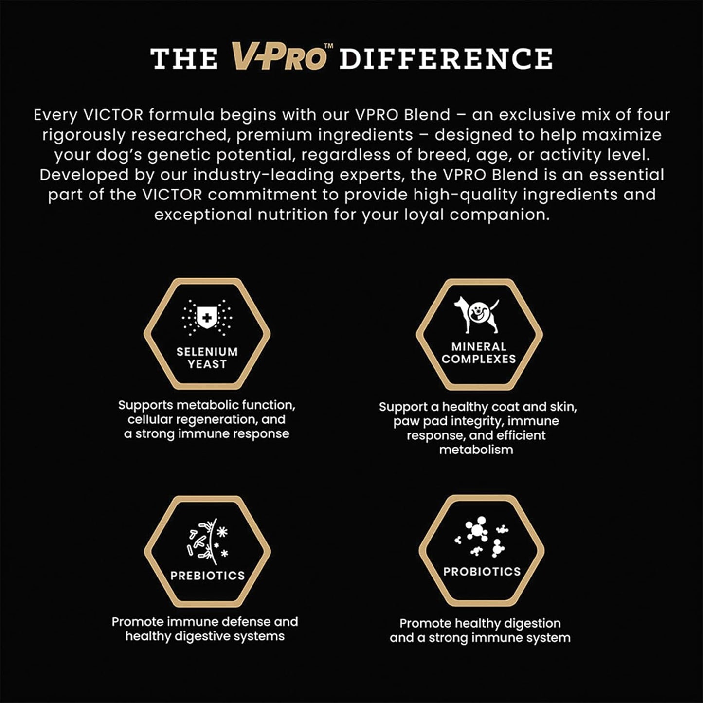 VICTOR Super Premium Dog Food – Hi-Pro Plus Dry Kibble – High Protein Dog Food with 30% Protein – Beef, Chicken, Pork, Fish Meals, Gluten Free - for High Energy and Active Dogs & Puppies, 30lbs