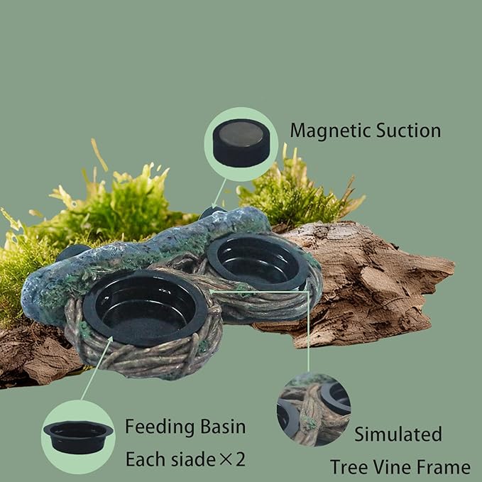 Reptile Feeding Ledge with 4 Cups, Hollow Vine Food Dish & Water Bowl for Bearded Dragon, Gecko, Lizard & Snake – Reptile Tank Accessories for Terrariums