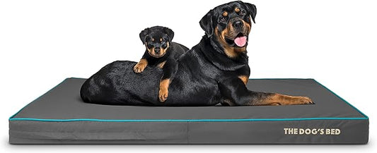 The Dog’s Bed Orthopedic Memory Foam Dog Bed, XXL Grey/Blue, Pain Relief for Arthritis, Hip & Elbow Dysplasia, Post Surgery, Lameness, Supportive, Calming, Waterproof Washable Cover