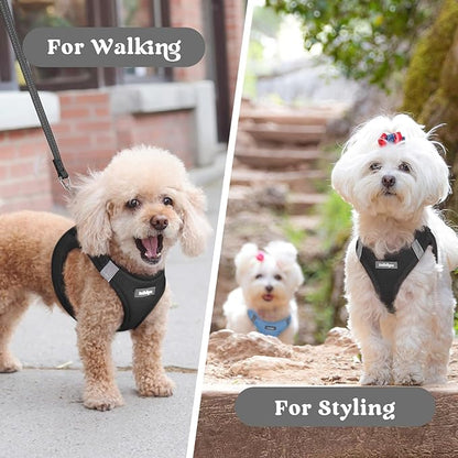 rabbitgoo Small Dog Harness, Step-in Soft Mesh Puppy Vest with Safety Buckle, Breathable Reflective Pet Harness for Small Medium Dogs, Black XL