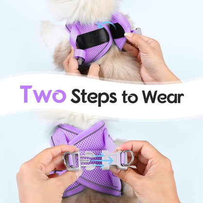 Dooradar Cat Harness and Leash Set, Escape Proof Lightweight Kitten Harness, Soft Breathable Reflective Vest for Outdoor Walking Traveling, Adjustable for Small Cats, Grey & Purple, S