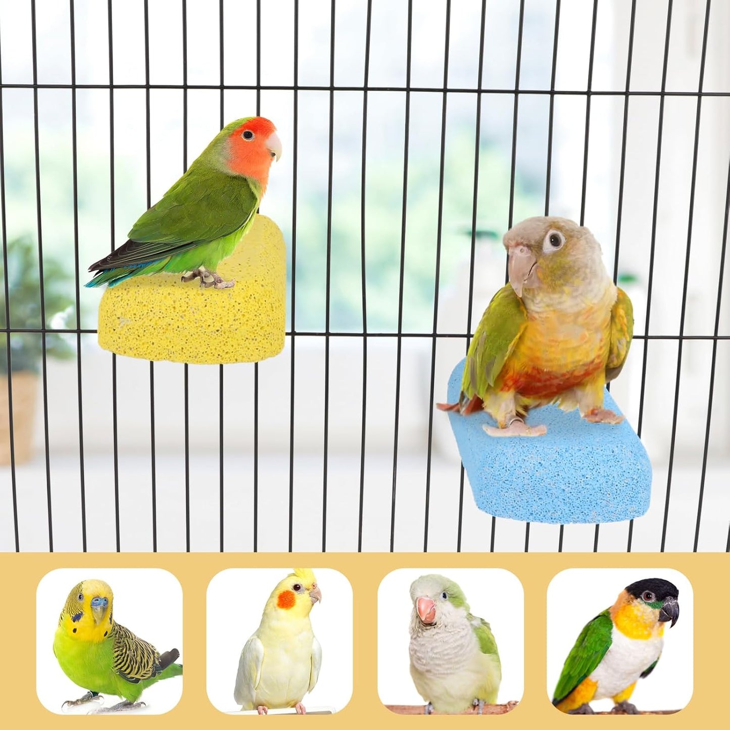 Wontee Bird Chewing Toys Grinding Beak Bird Perch Stand for Budgies Parakeets Cockatiels Lovebirds Conures Rats Squirrels, 2 Packs (Yellow+Blue)