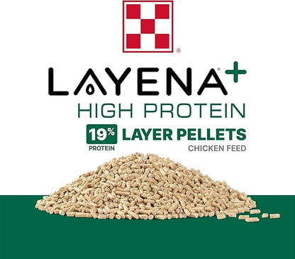 Purina Layena + High Protein Layer Chicken Feed (40 Pound)