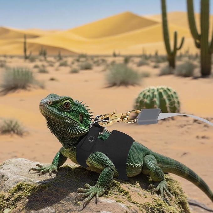 3Pack Bearded Dragon Leash and Harness Set, Bearded Dragon Accessories Clothes Stuff, Adjustable Easy Walk Rat Harness with 6.56 ft, Vest Accessories for Reptile Squirrel Rat Walking (3 Size, Black)