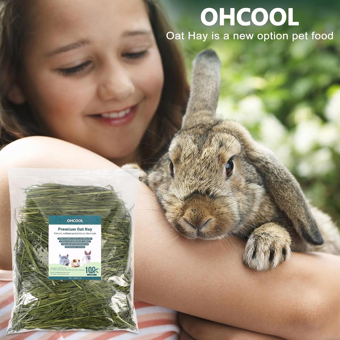 Premium Oat Hay for Pets - Dust Free Natural Green Fresh Pet Food Hay for Rabbits, Guinea Pigs, Chinchillas, Hamsters & Gerbils - 2.2lbs (2 packs of 1.1lbs）