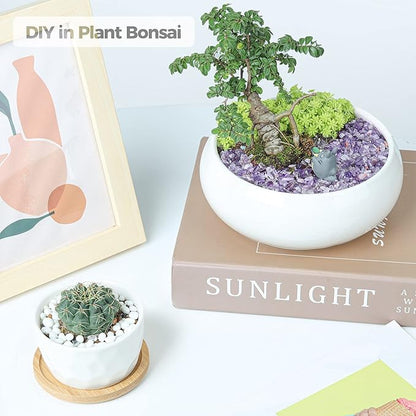 T4U Tumbled Chips Stones Crushed Crystal Quartz 1 LB, Irregular Shaped Gravels Pebbles Healing Stones, DIY Smoothed Rock for Potted Plant,Resin Art,Vase Fillers Aquarium Gravel Rocks (Amethyst)