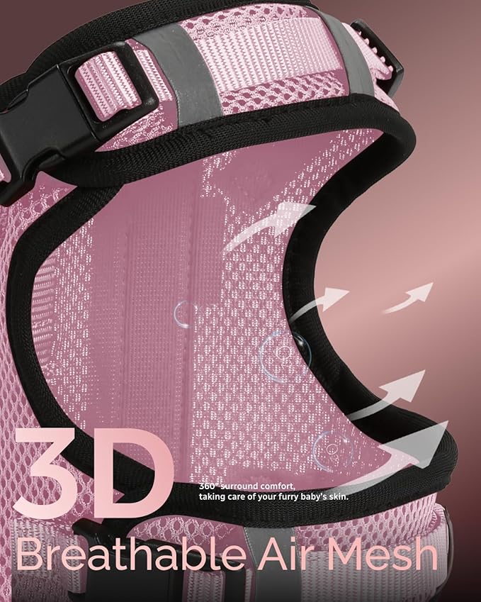 FAYOGOO Service Dog Vest for Small Dogs - Air Mesh Breathble Emotional Support Animal Vest with DIY Patches - Puppy Harness and Leash Set Adjustable Neck and Chest